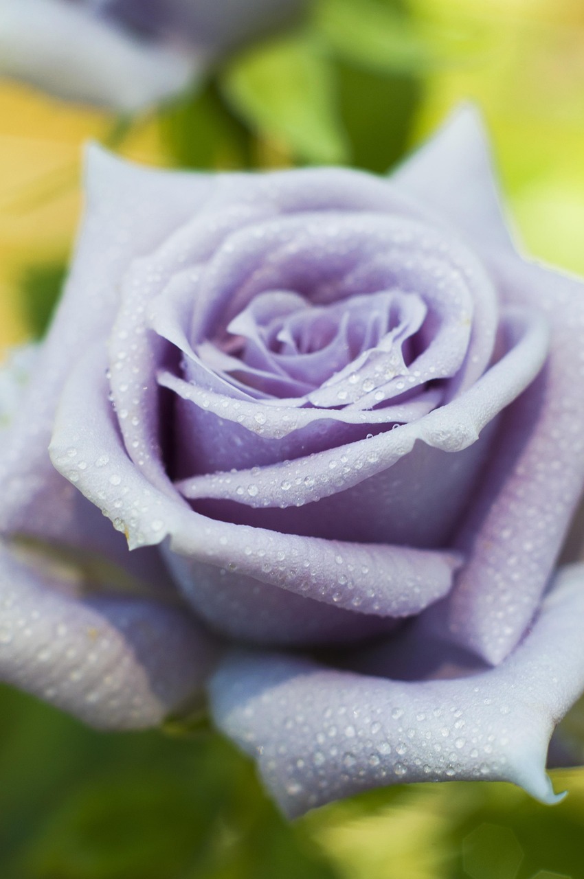 AGA初月980円の条件と注意点は何ですか？