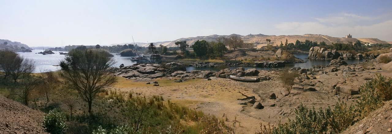 AGAの飲み忘れ防止におすすめのアプリは？