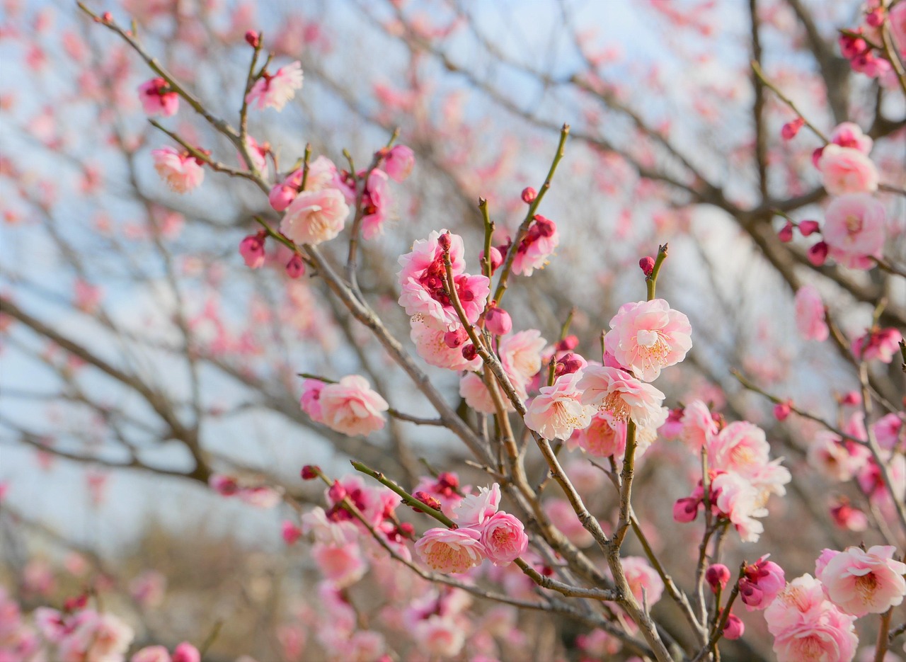 AGAの年齢別コスパが良い始め方は？