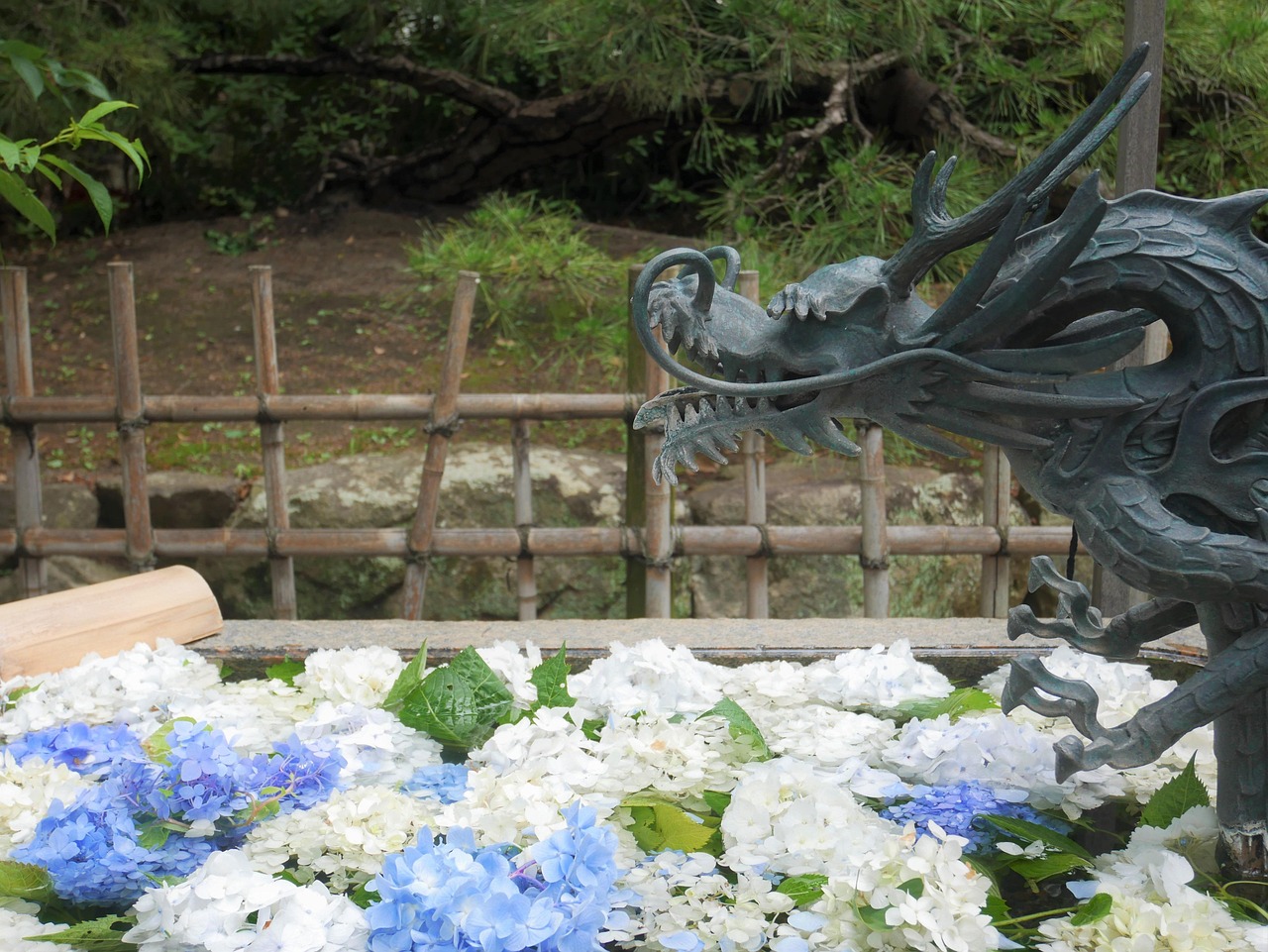 AGAの相談がしやすい料金は妥当なのか？