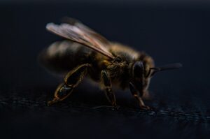 AGAびまん性脱毛の費用の目安はどれくらい？